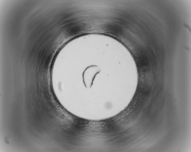 X0000098050840200804071505