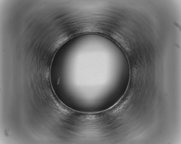 X0000098050841200804071505