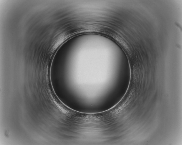 X0000098050842200804071505