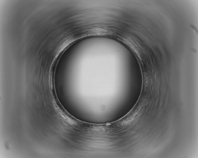 X0000098050843200804071505