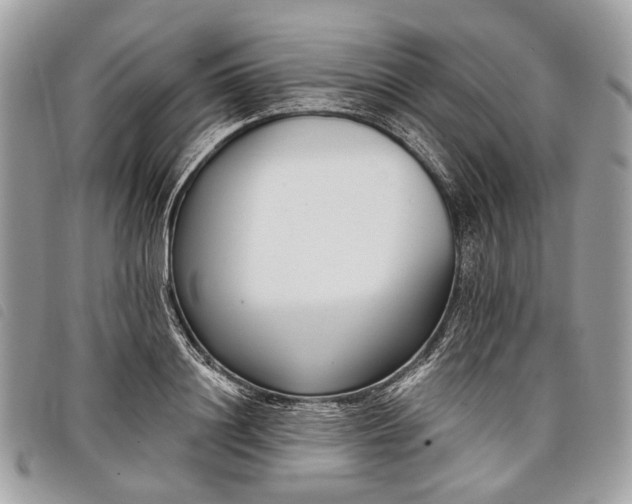 X0000098050844200804071505