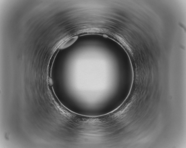 X0000098050845200804071505