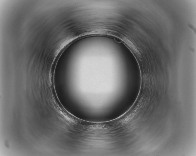 X0000098050846200804071505