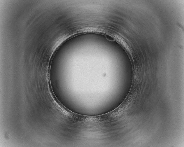 X0000098050847200804071505