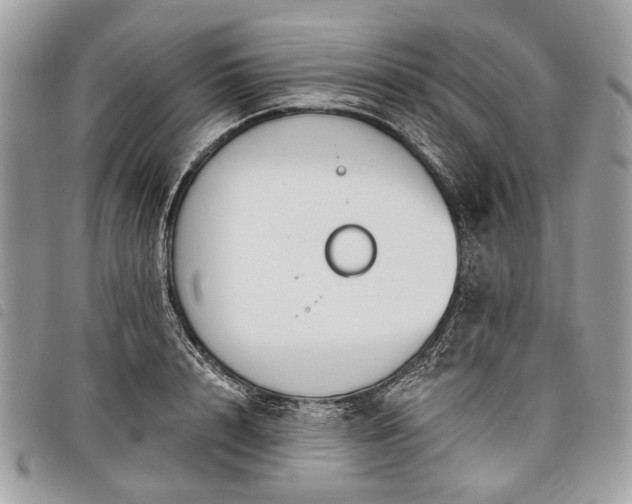 X0000098050848200804071505