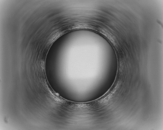 X0000098050849200804071505