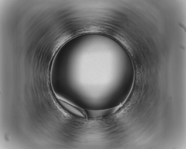 X0000098050850200804071505