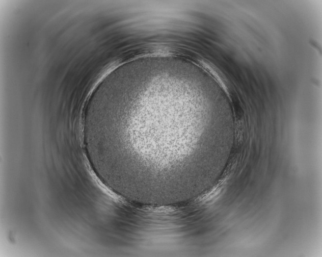 X0000098050851200804071505