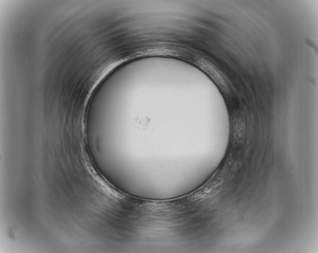 X0000098050852200804071505