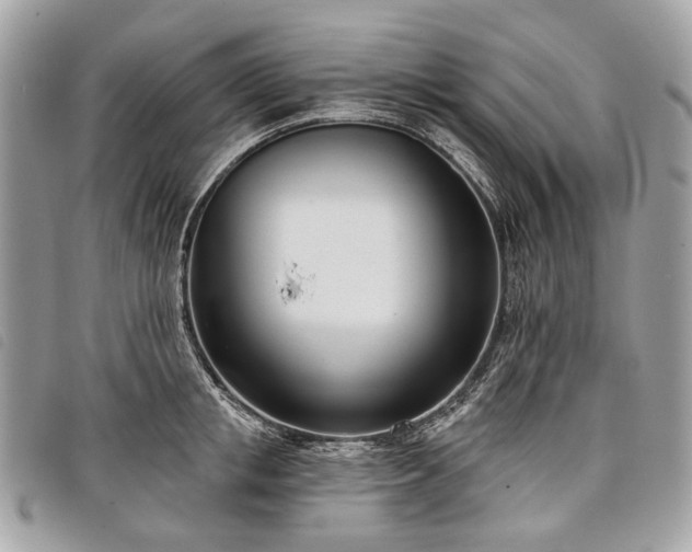 X0000098050853200804071505