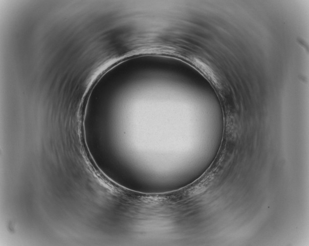 X0000098050854200804071505