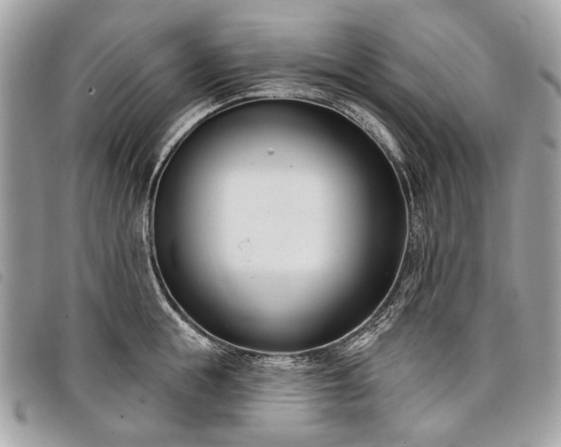 X0000098050855200804071505