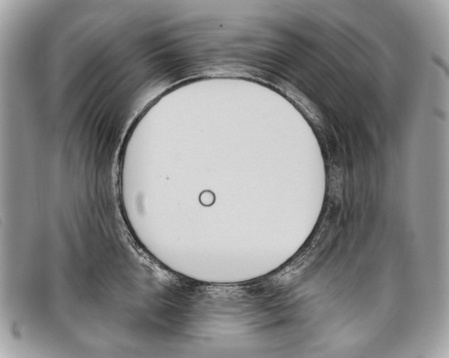 X0000098050856200804071505