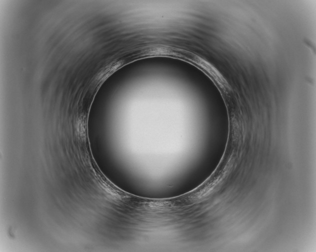 X0000098050857200804071505