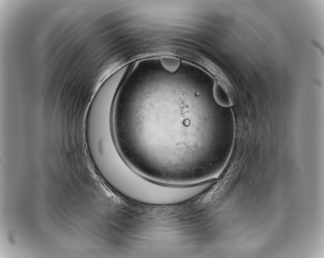 X0000098050858200804071505