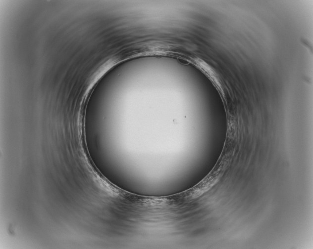 X0000098050859200804071505