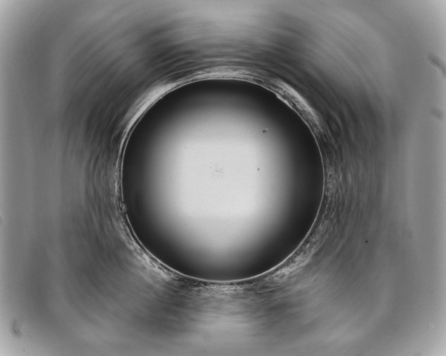 X0000098050860200804071505