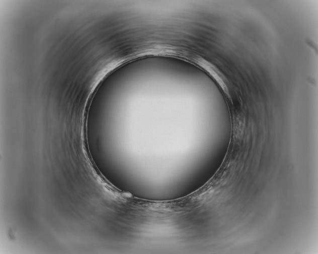 X0000098050861200804071505