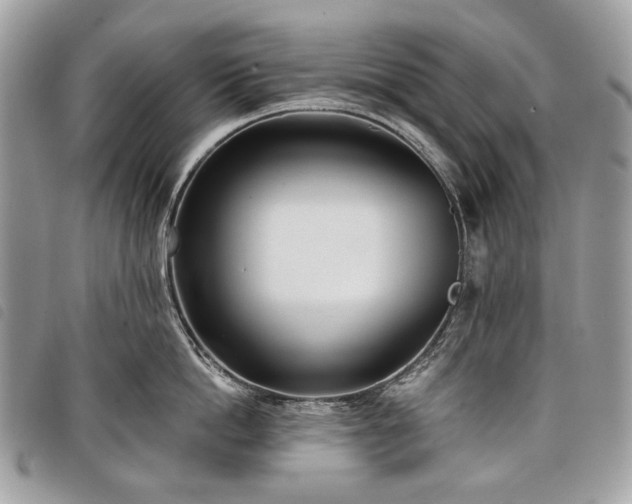 X0000098050862200804071505