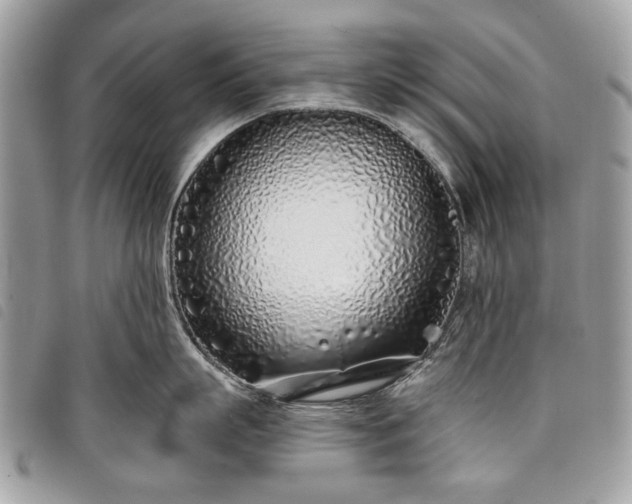 X0000098050863200804071505