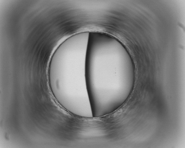 X0000098050864200804071505