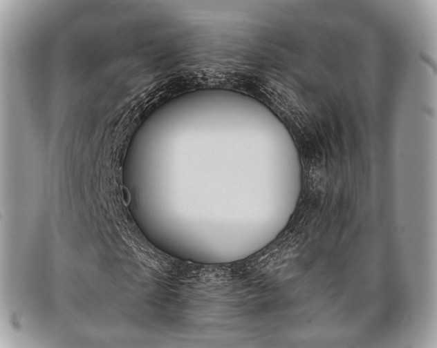 X0000098050865200804071505