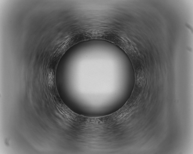 X0000098050866200804071505