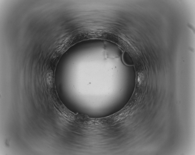 X0000098050867200804071505