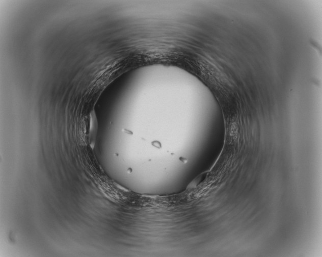 X0000098050868200804071504