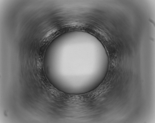 X0000098050869200804071504