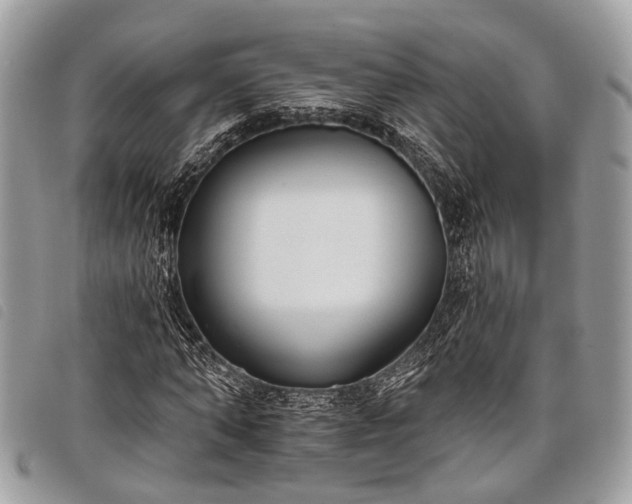 X0000098050870200804071504