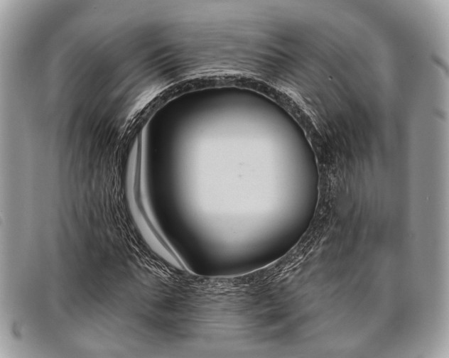 X0000098050871200804071504