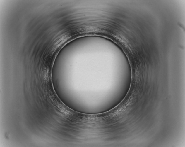 X0000098050873200804071504