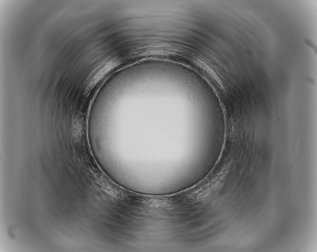 X0000098050874200804071504