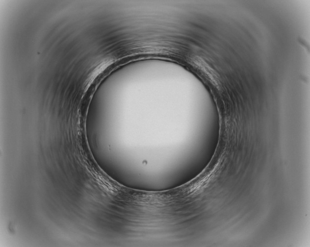 X0000098050875200804071504