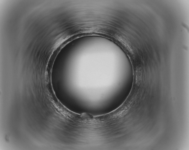 X0000098050876200804071504