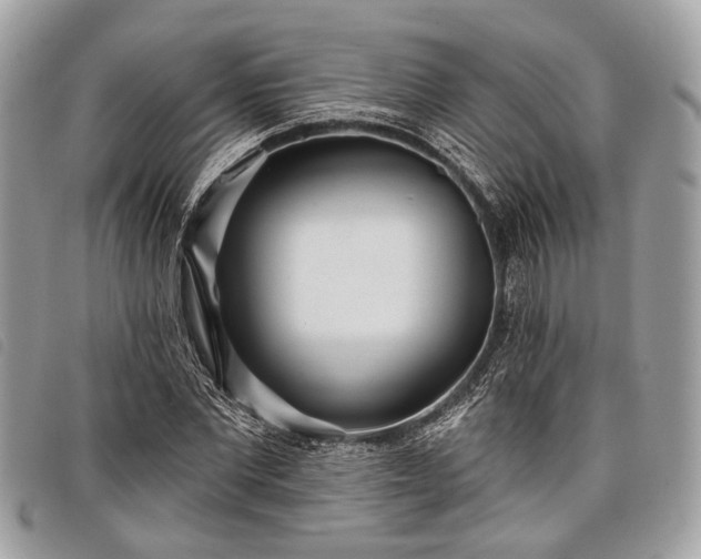 X0000098050877200804071504