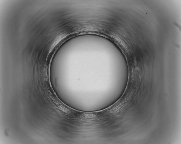 X0000098050878200804071504