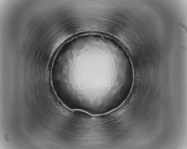 X0000098050879200804071504