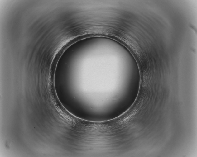 X0000098050880200804071504