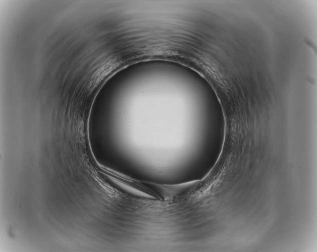 X0000098050881200804071504