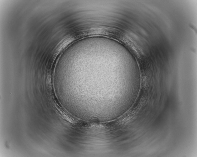 X0000098050882200804071504