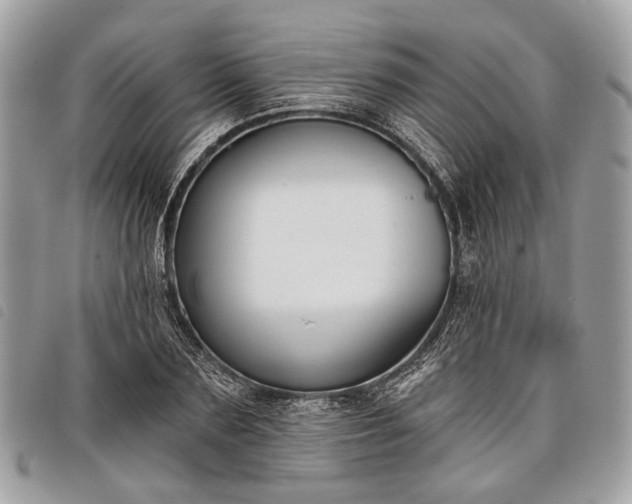 X0000098050883200804071504