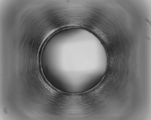 X0000098050884200804071504