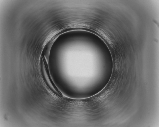 X0000098050885200804071504