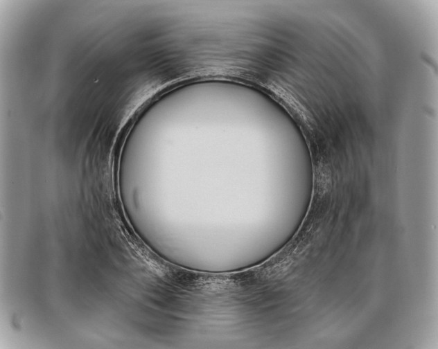 X0000098050886200804071504