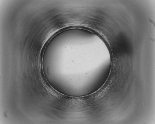 X0000098050887200804071504