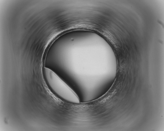 X0000098050888200804071504