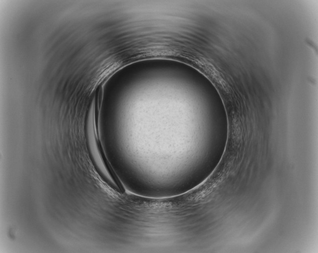 X0000098050889200804071504