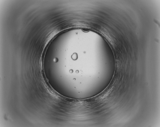 X0000098050891200804071504